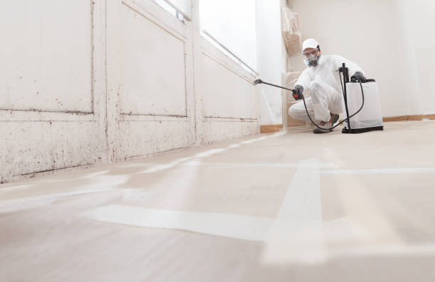 24/7 Emergency Attic Mold Remediation experts in Hillsdale, NJ