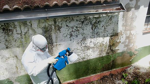Top rated local Attic Mold Remediation specialists in Hillsdale, NJ